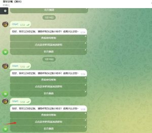 【亲测】TG记账机器人源码/Telegram记账机器人/带账单生成功能/带搭建教程