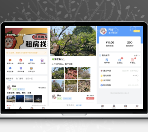 同城论坛发布社区系统源码 二手闲置 房屋出租 全开源