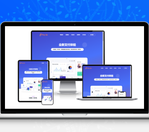 2025彩虹易支付前端新模板美化版