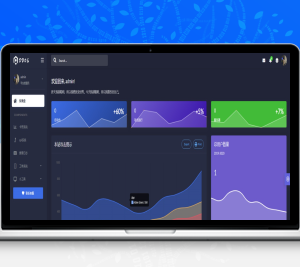 DDoS压力测试系统源码/构建高效稳定的DDoS网站系统