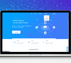 代收代付聚合支付系统源码官方对接/可对接其他三方/支付源码可二开