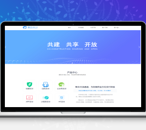 免费开源的聚合支付系统源码/易支付系统 /三方支付系统