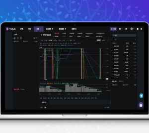 Vexus多语言虚拟货币交易所/java交易所源码/模拟账户+现货交易+永续合约+交割合约+基金理财+锁仓挖矿+质押贷款+闪兑