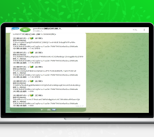 USDT地址查询机器人/交易查询机器人源码/地址查询统计机器人